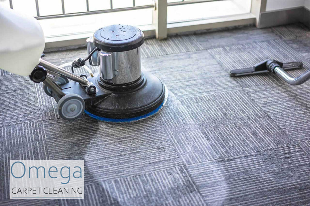 The Importance of Regular Carpet Cleaning How Often Should You Clean