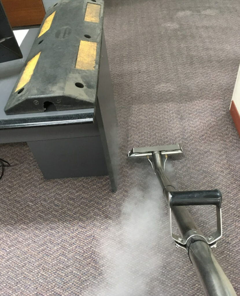 Steam-Carpet-Cleaning