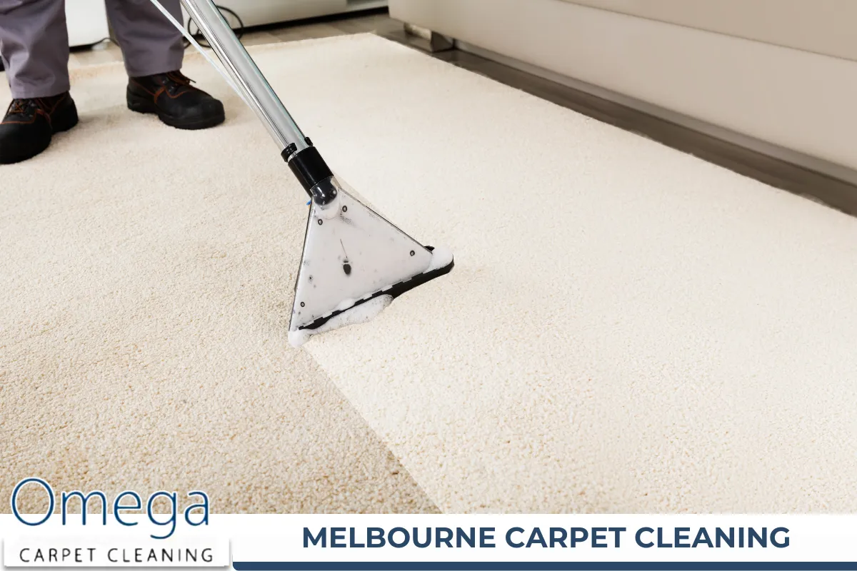 Melbourne Carpet Cleaning