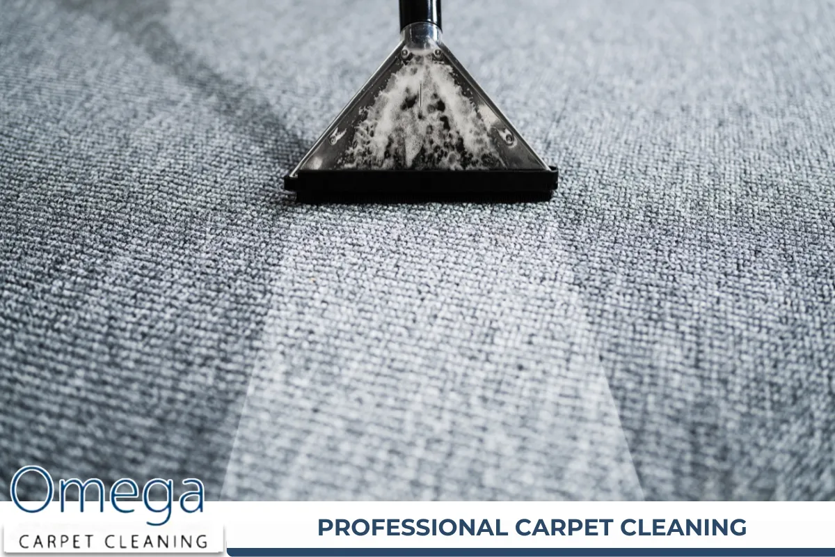 PROFESSIONAL CARPET CLEANING