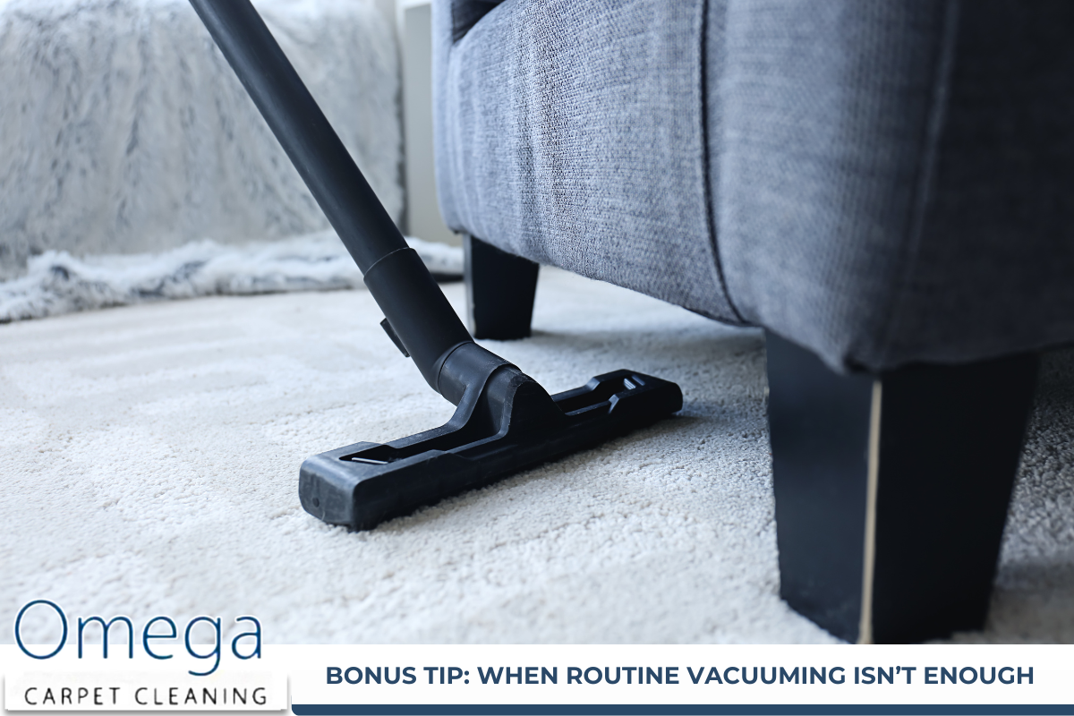 Carpet Cleaning