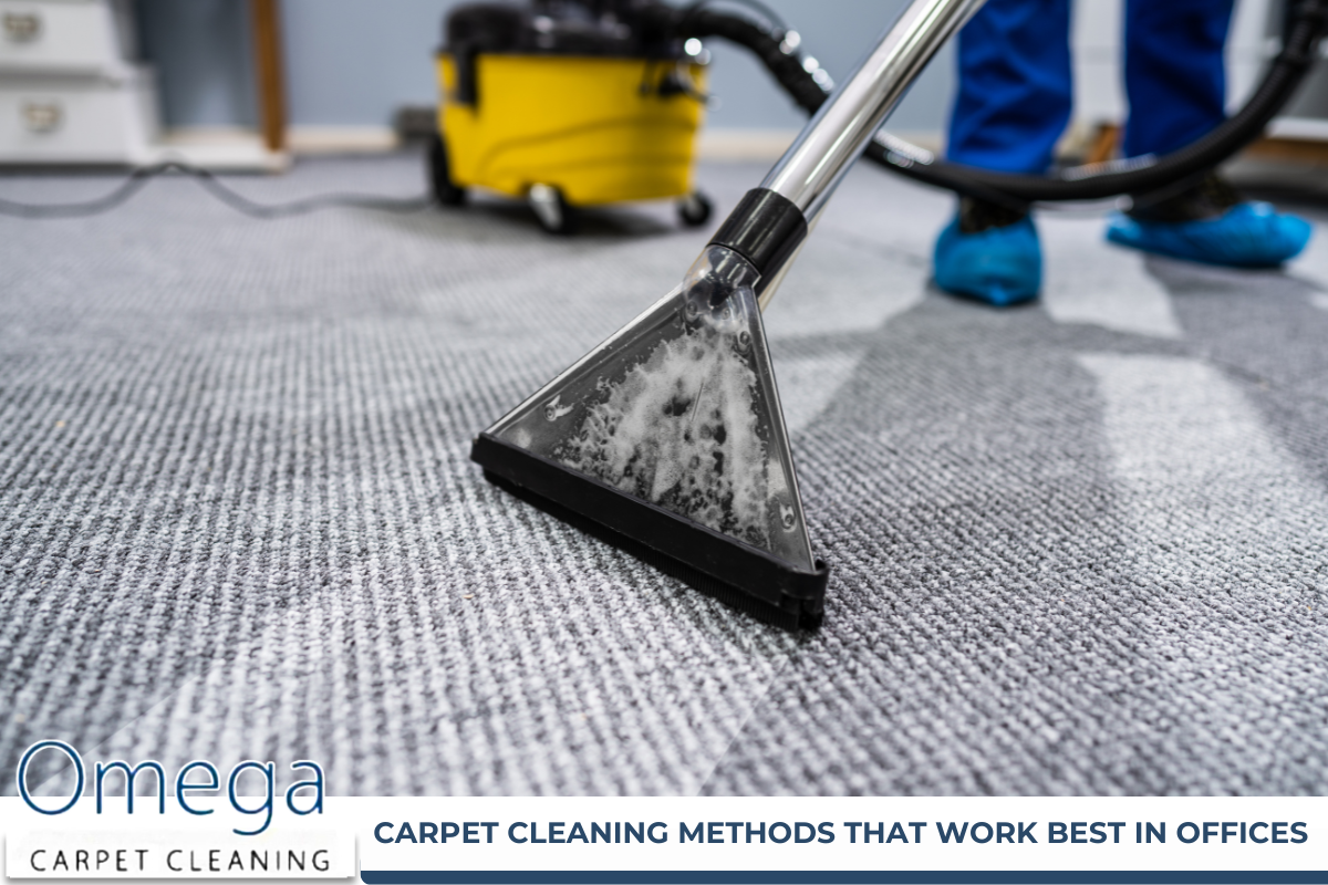 Carpet Cleaning
