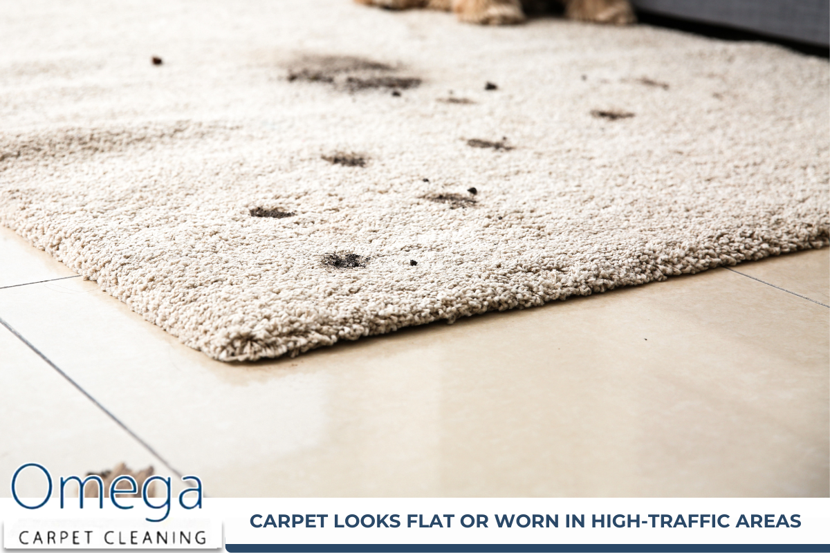Carpet Cleaning