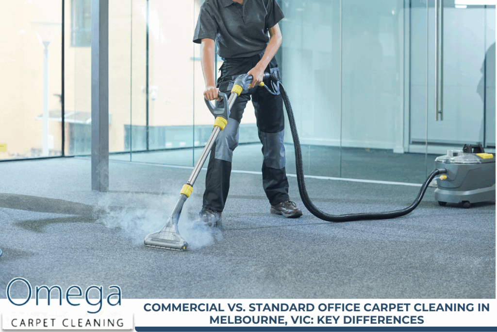 Carpet Cleaning