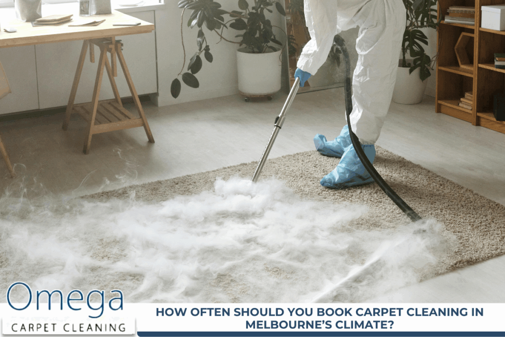 Carpet Cleaning