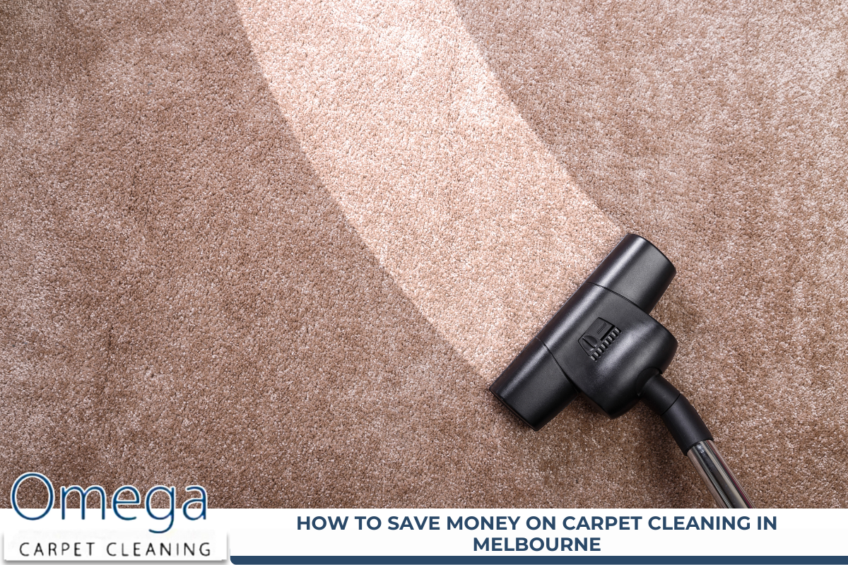 Carpet Cleaning