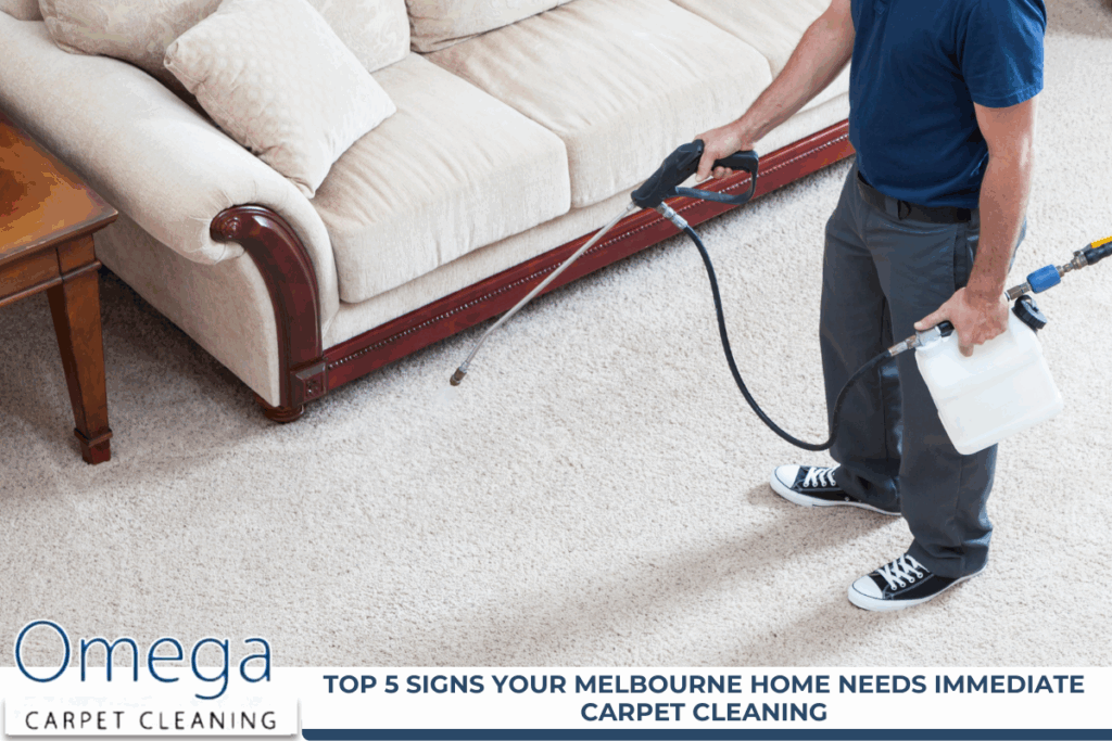 Carpet Cleaning