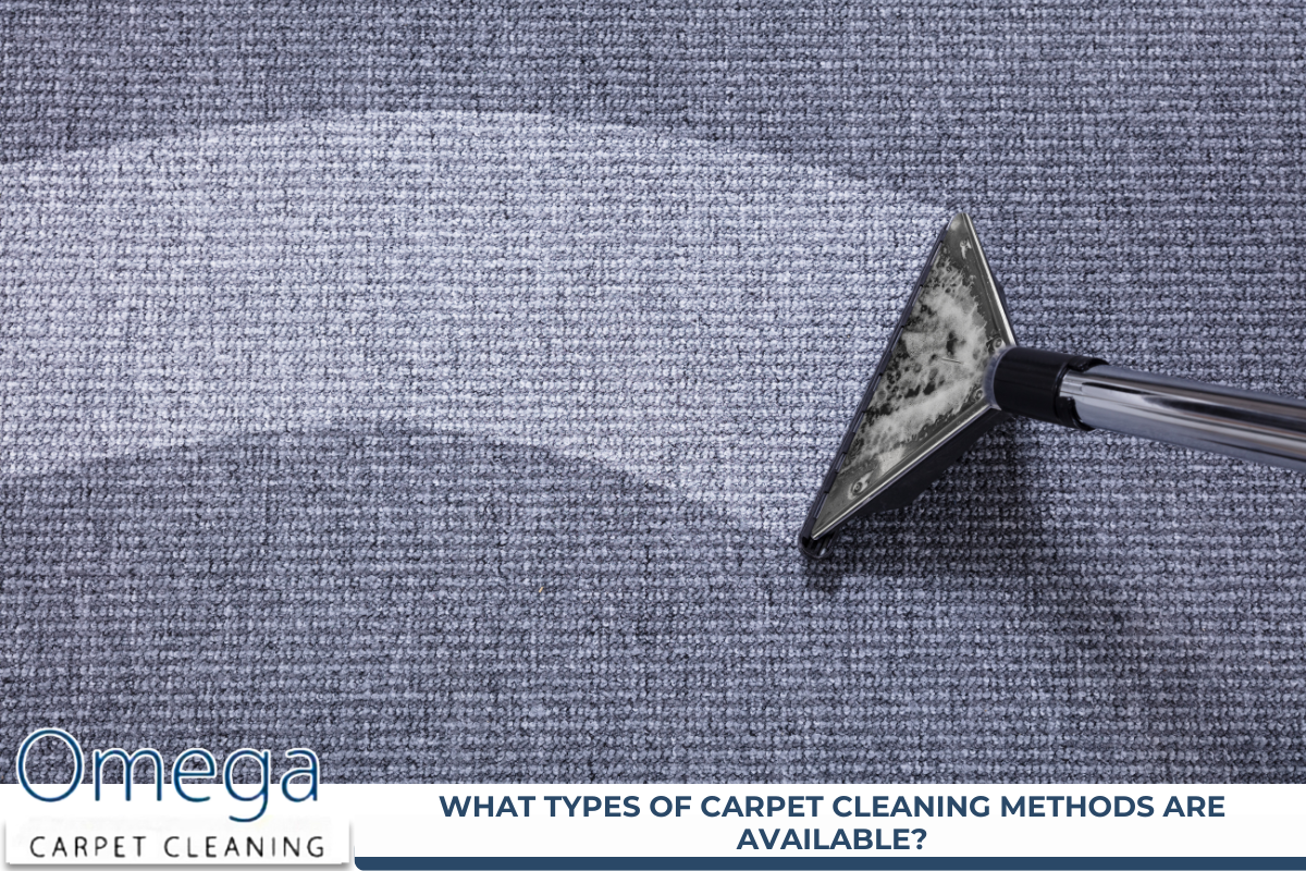Carpet Cleaning