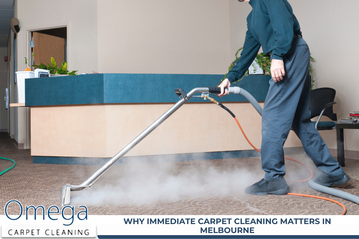 Carpet Cleaning