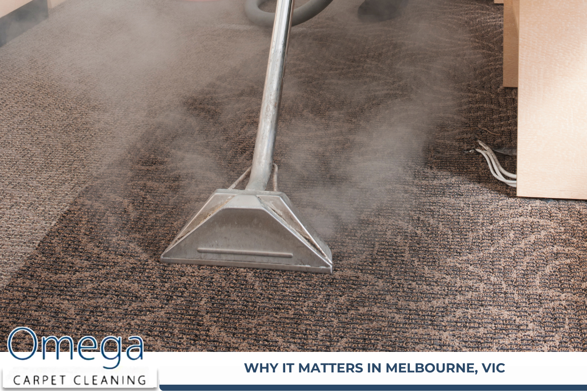 Carpet Cleaning