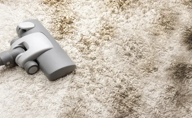 Microfiber or Polyester Rug Cleaning