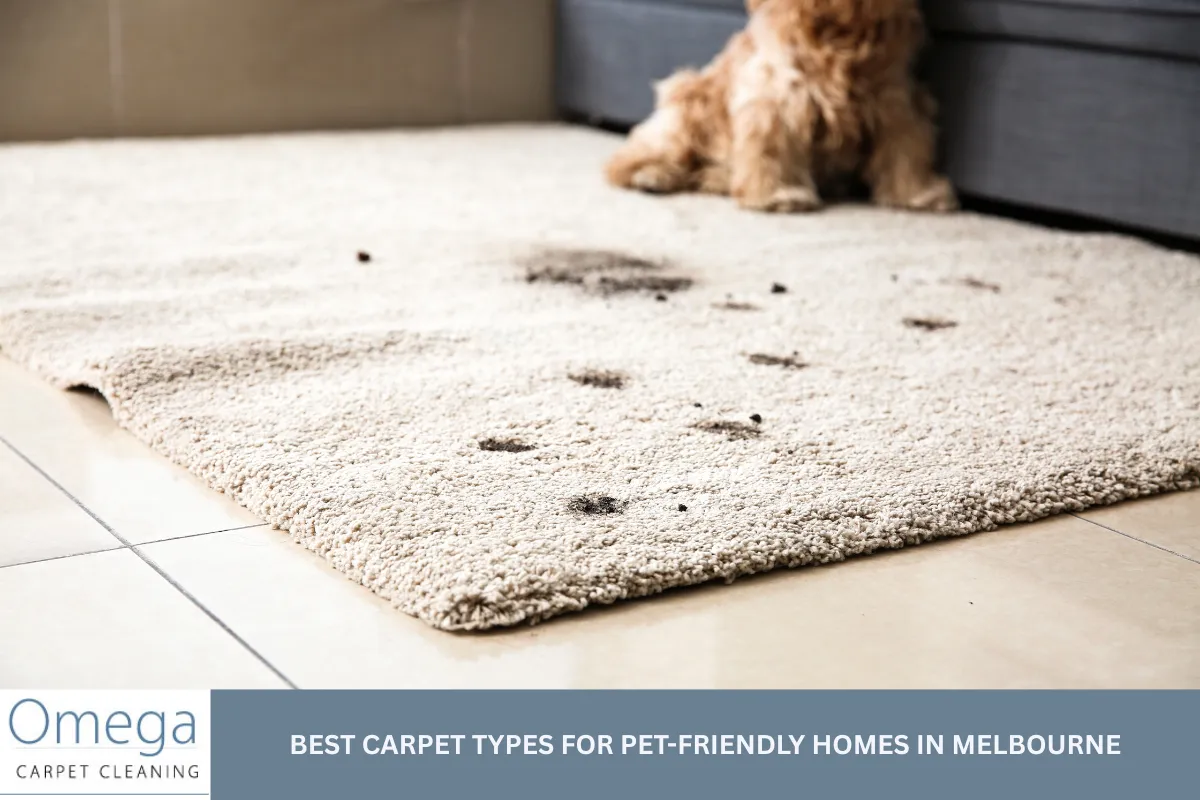 Best Carpet Types for Pet-Friendly Homes in Melbourne