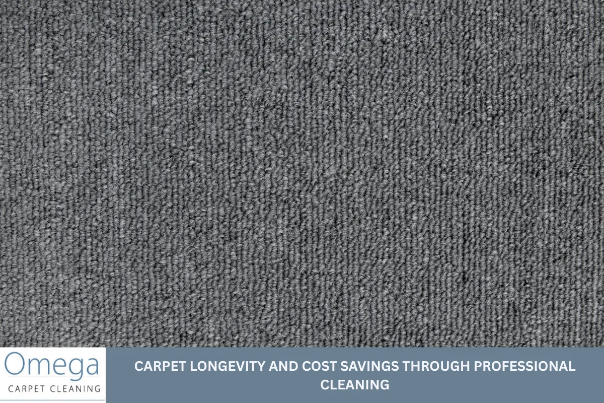 Carpet Longevity and Cost Savings Through Professional Cleaning