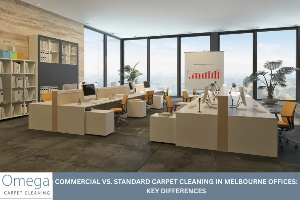 Commercial vs. Standard Carpet Cleaning in Melbourne Offices: Key Differences