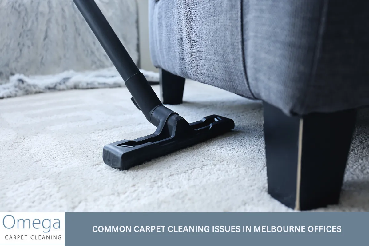 Common Carpet Cleaning Issues in Melbourne Offices