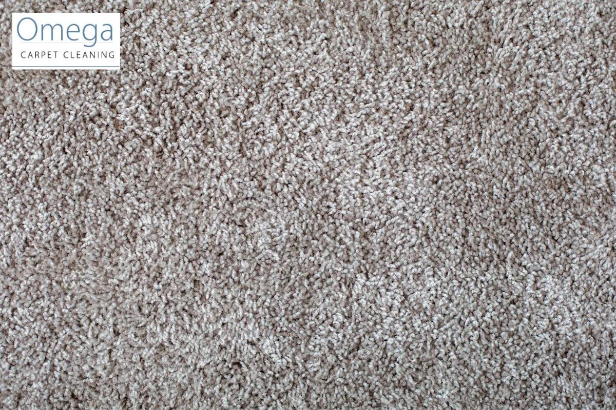Maintaining Carpets Between Professional Cleanings