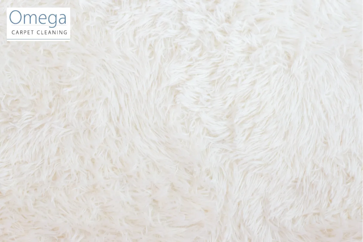 Maintenance Habits That Prevent Carpet Damage