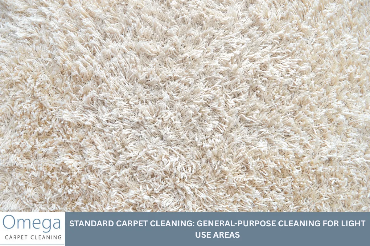 Standard Carpet Cleaning: General-Purpose Cleaning for Light Use Areas