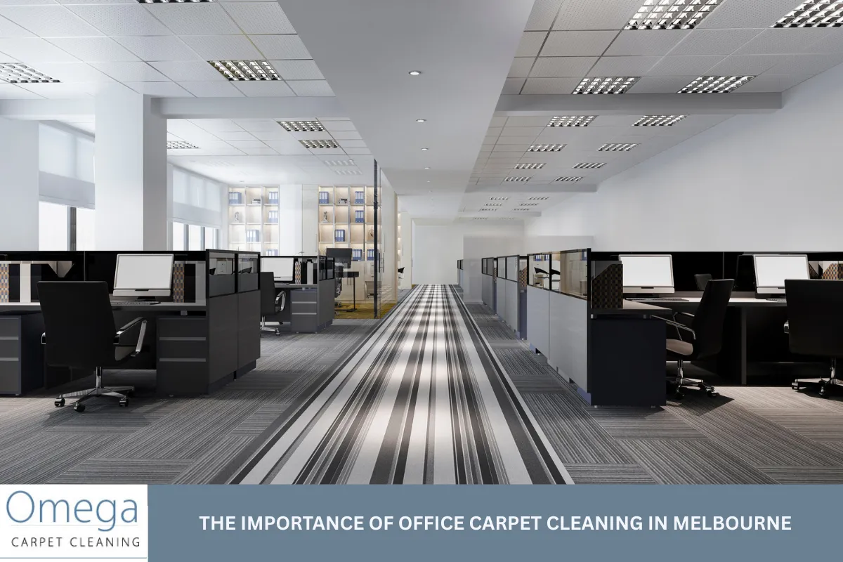 The Importance of Office Carpet Cleaning in Melbourne