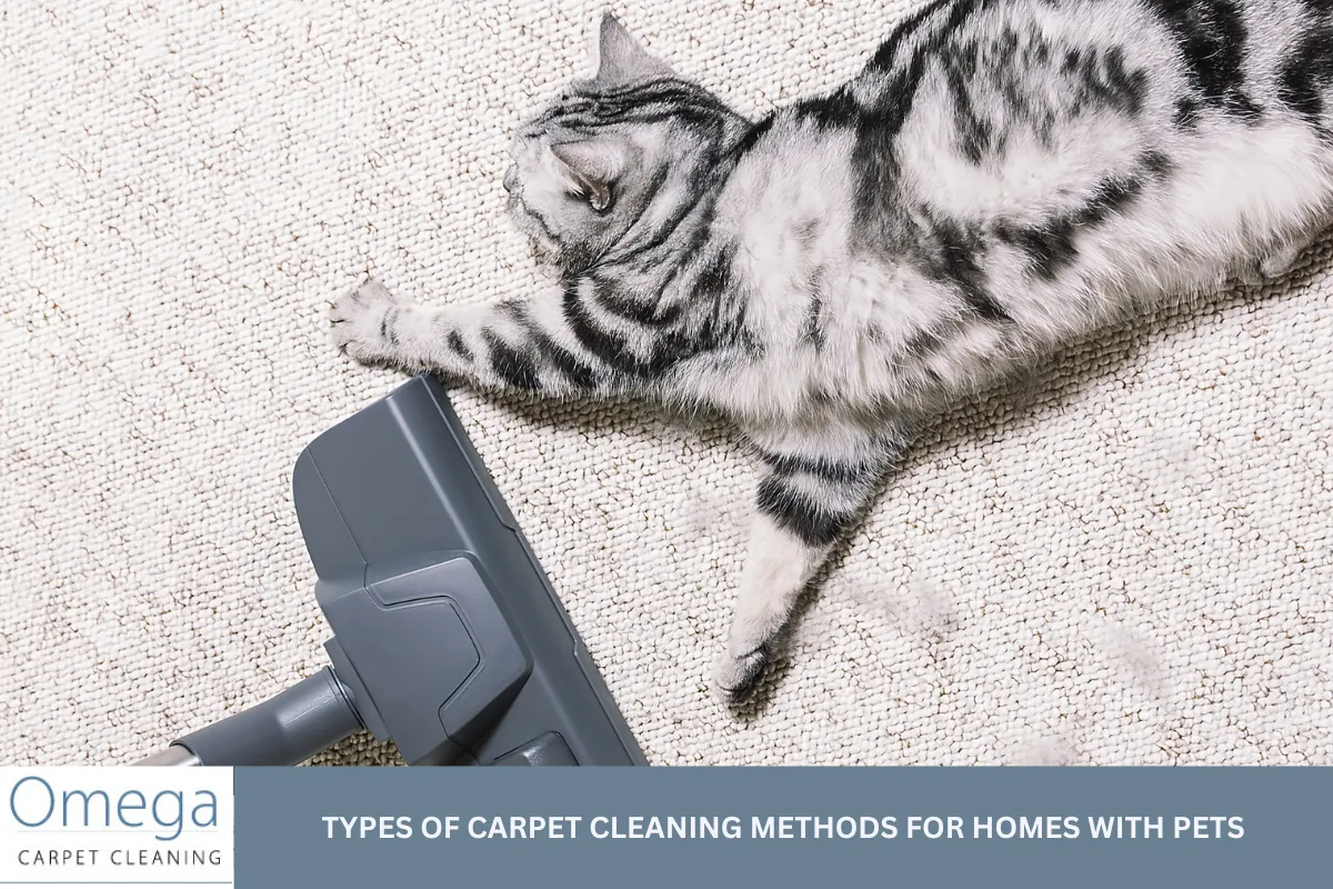 Types of Carpet Cleaning Methods for Homes With Pets