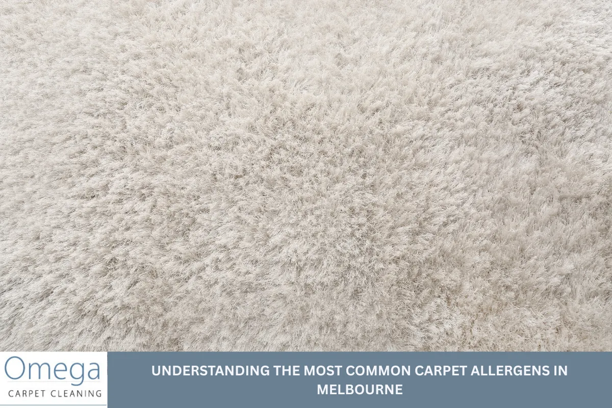 Understanding the Most Common Carpet Allergens in Melbourne