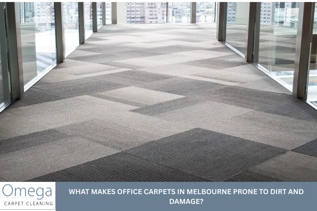What Makes Office Carpets in Melbourne Prone to Dirt and Damage?
