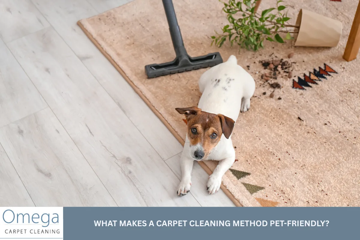What Makes a Carpet Cleaning Method Pet-Friendly?