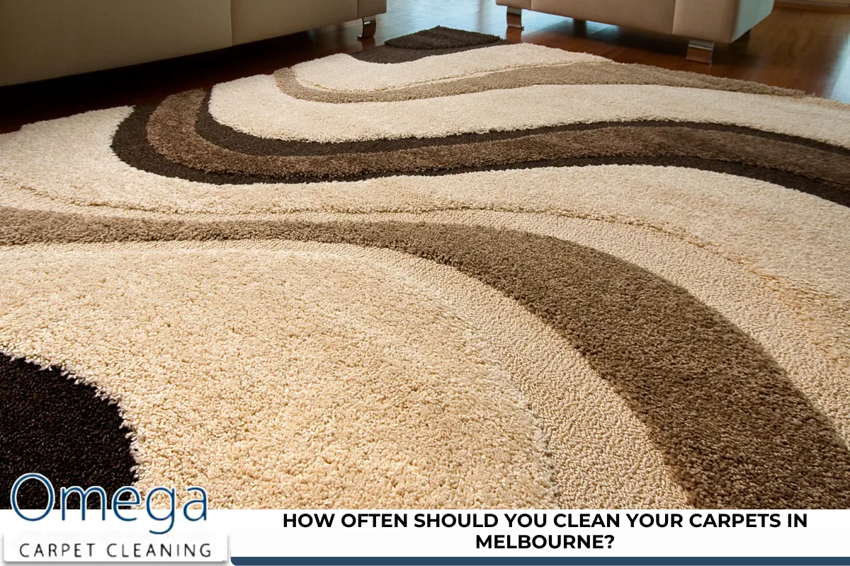 How Often Should You Clean Your Carpets in Melbourne?