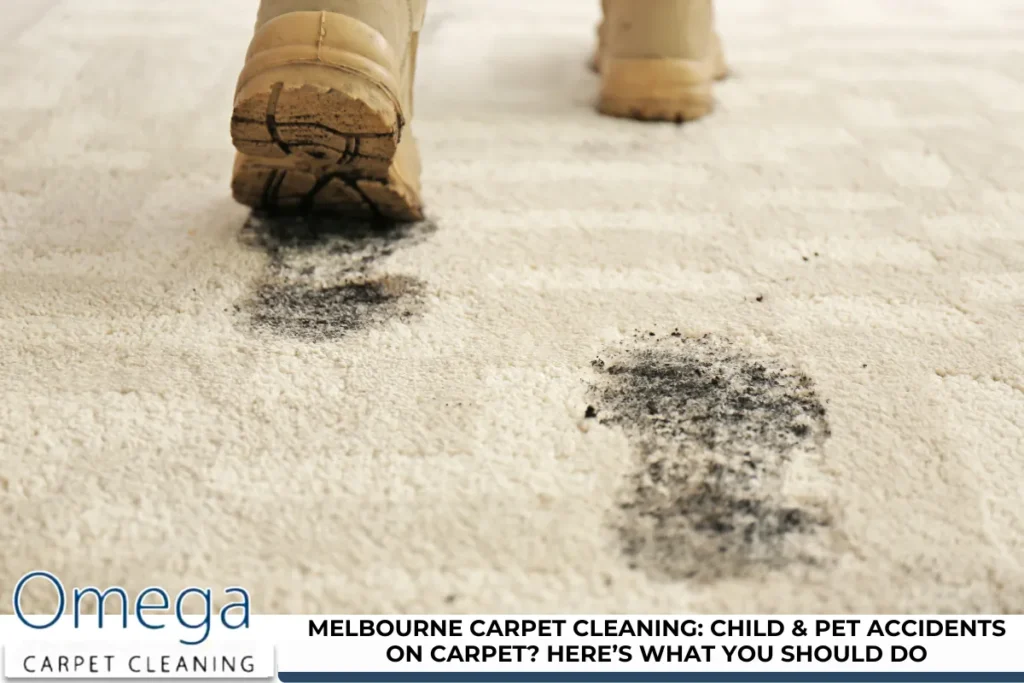 Melbourne Carpet Cleaning: Child & Pet Accidents on Carpet? Here’s What You Should Do