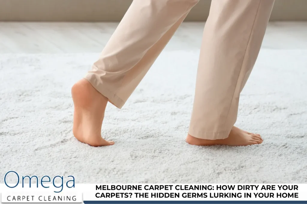 Melbourne Carpet Cleaning: How Dirty Are Your Carpets? The Hidden Germs Lurking in Your Home
