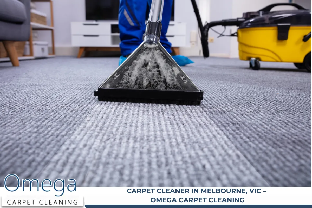 Carpet Cleaner in Melbourne, VIC – Omega Carpet Cleaning