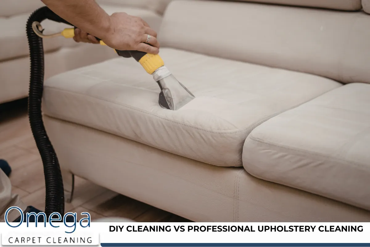 DIY Cleaning vs Professional Upholstery Cleaning