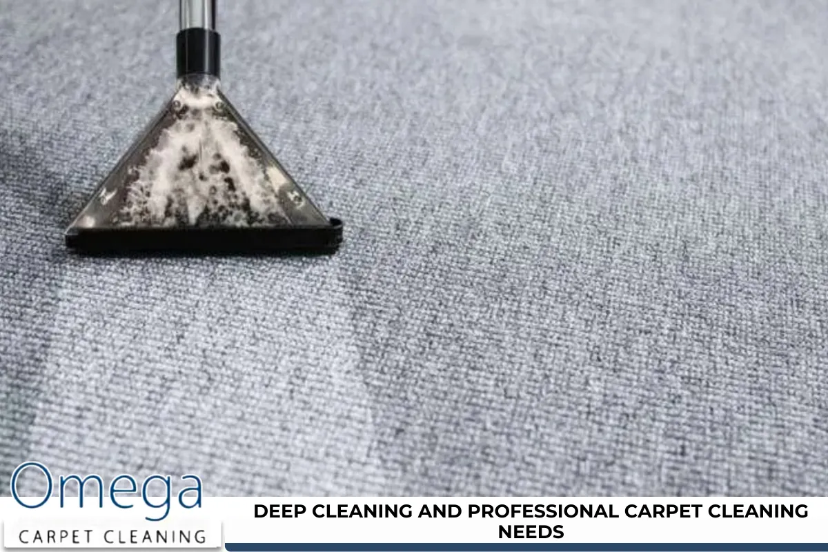 Deep Cleaning and Professional Carpet Cleaning Needs