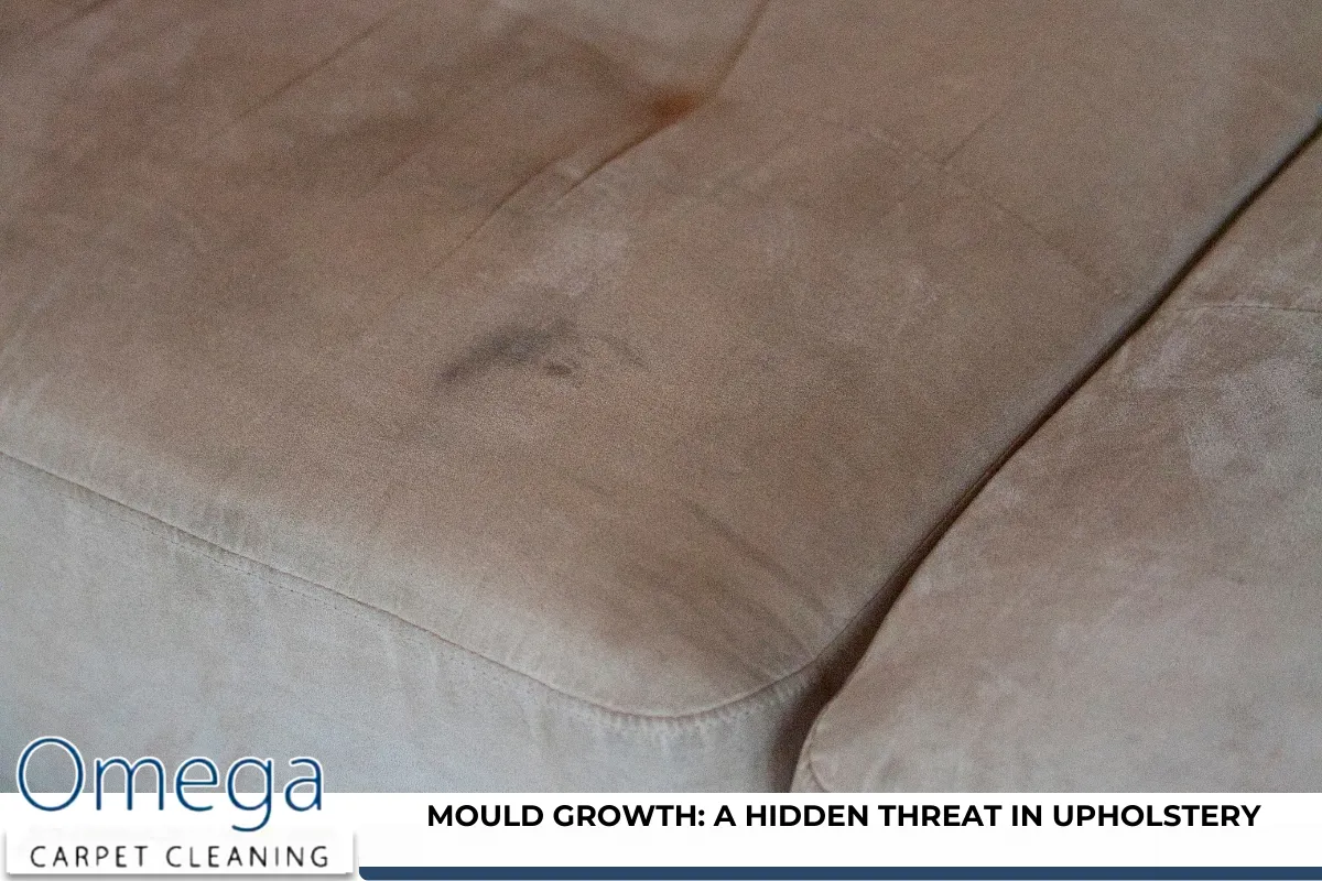 Mould Growth A Hidden Threat in Upholstery