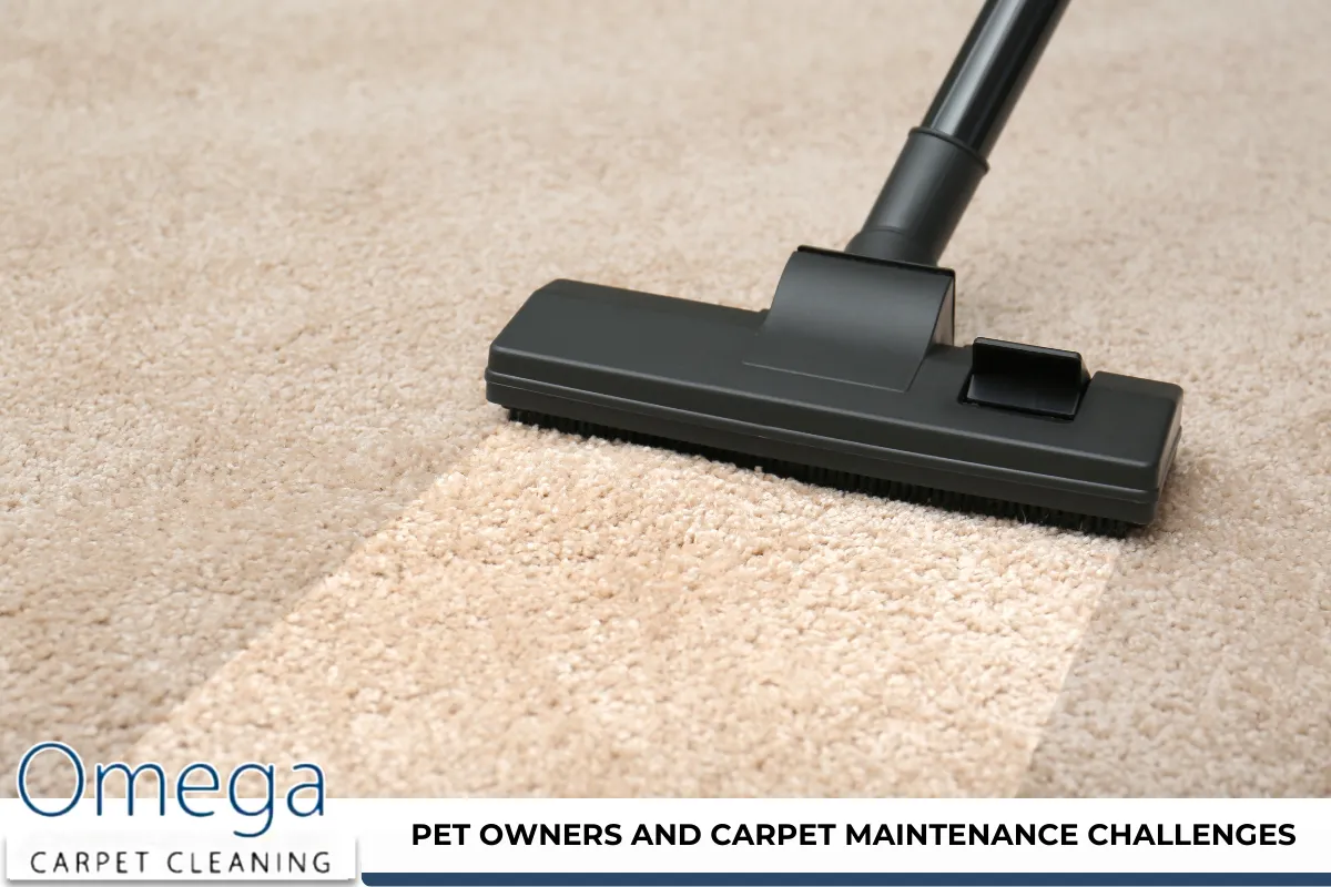 Pet Owners and Carpet Maintenance Challenges