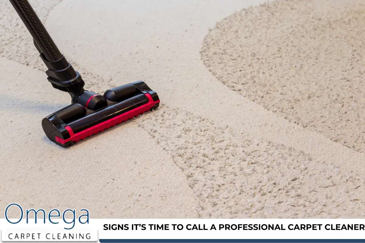 Signs It’s Time to Call a Professional Carpet Cleaner
