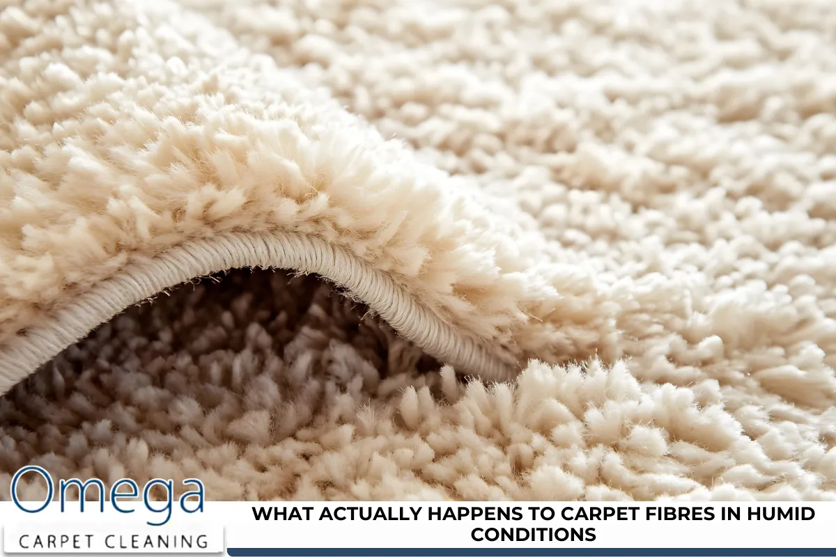 What Actually Happens to Carpet Fibres in Humid Conditions