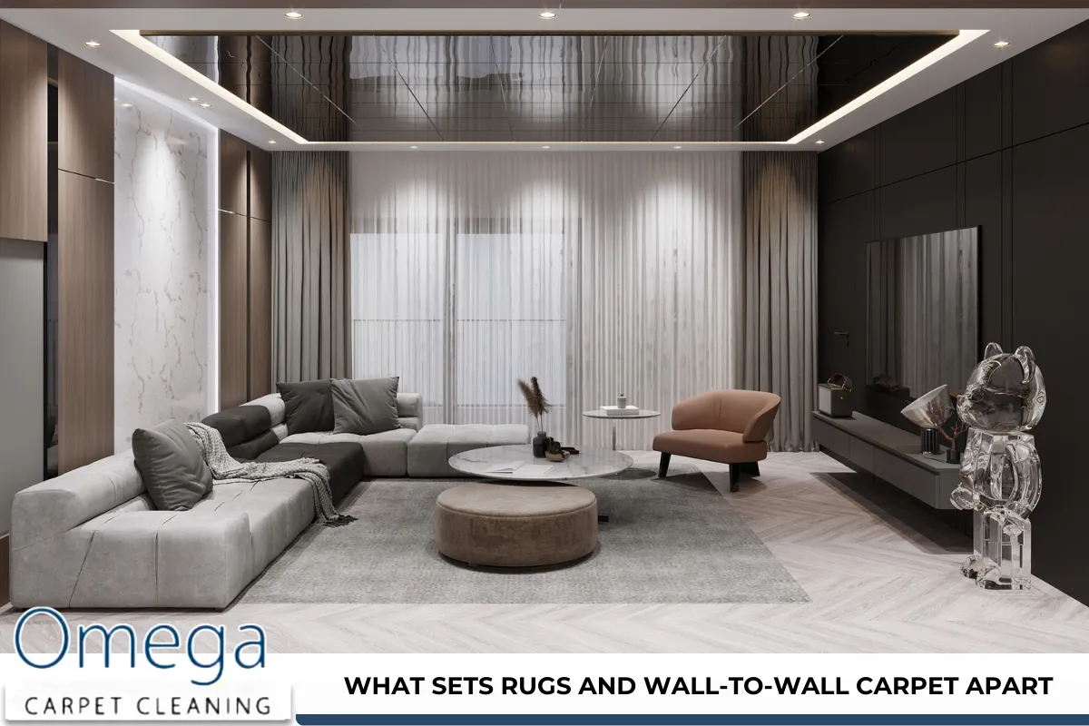 What Sets Rugs and Wall-to-Wall Carpet Apart