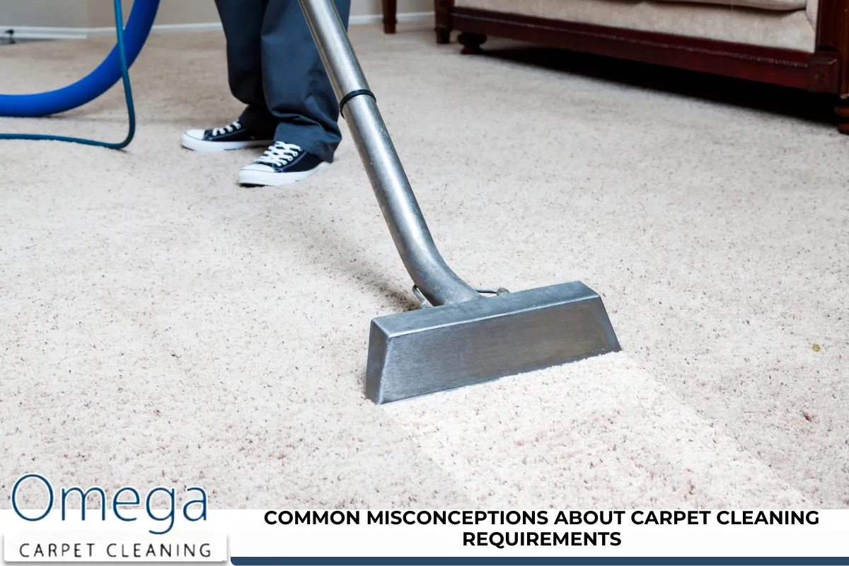 Common Misconceptions About Carpet Cleaning Requirements