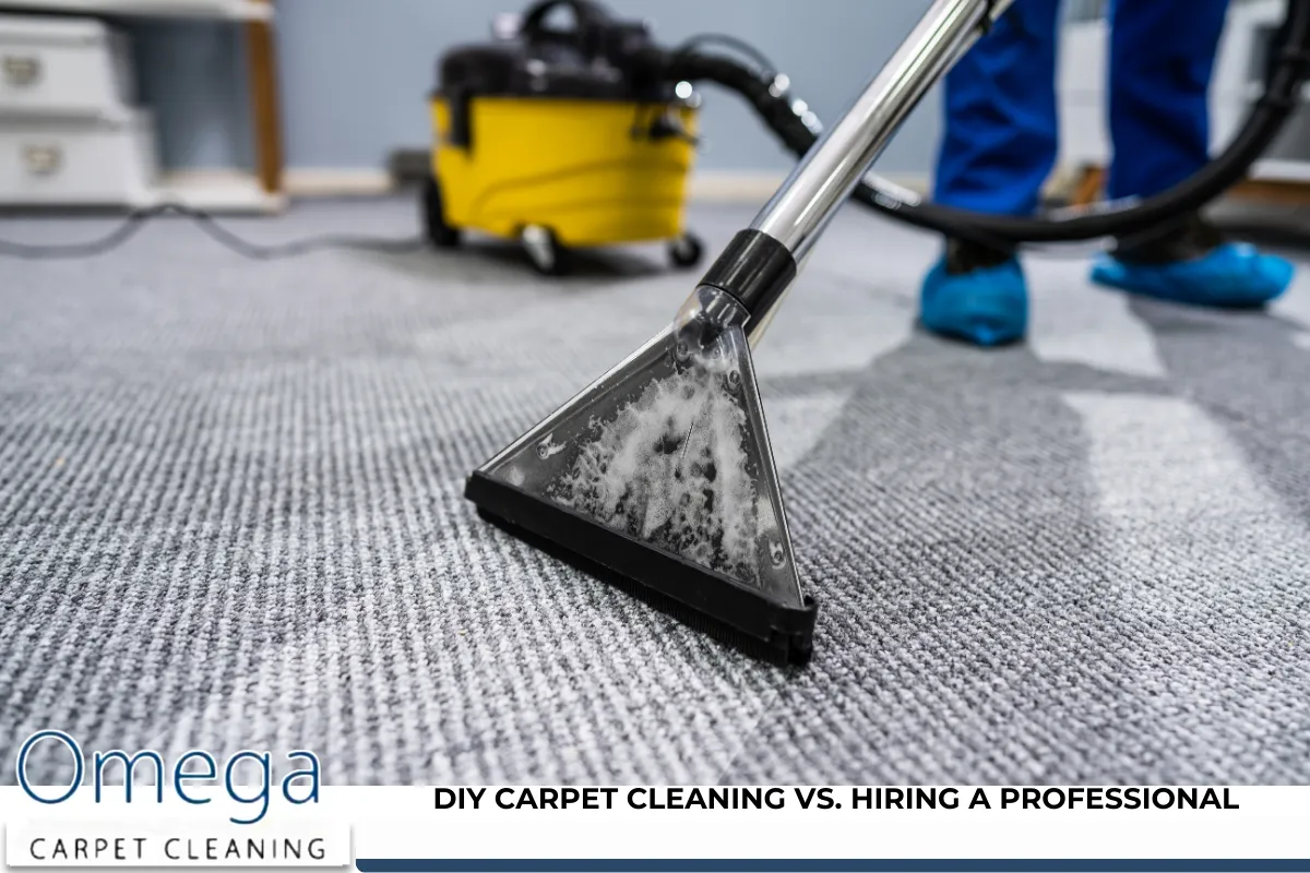 DIY Carpet Cleaning vs. Hiring a Professional
