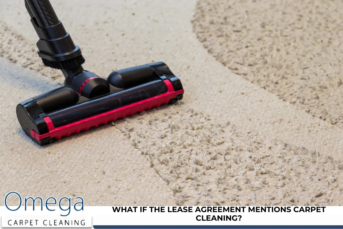 What If the Lease Agreement Mentions Carpet Cleaning