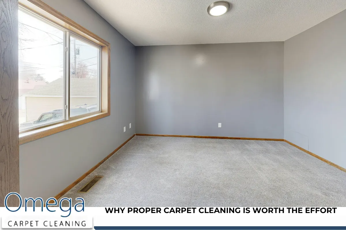 Why Proper Carpet Cleaning Is Worth the Effort