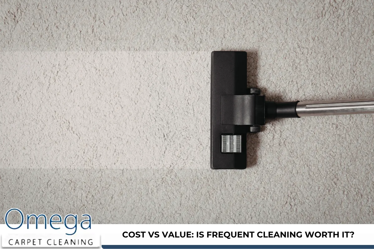 Cost vs Value Is Frequent Cleaning Worth It
