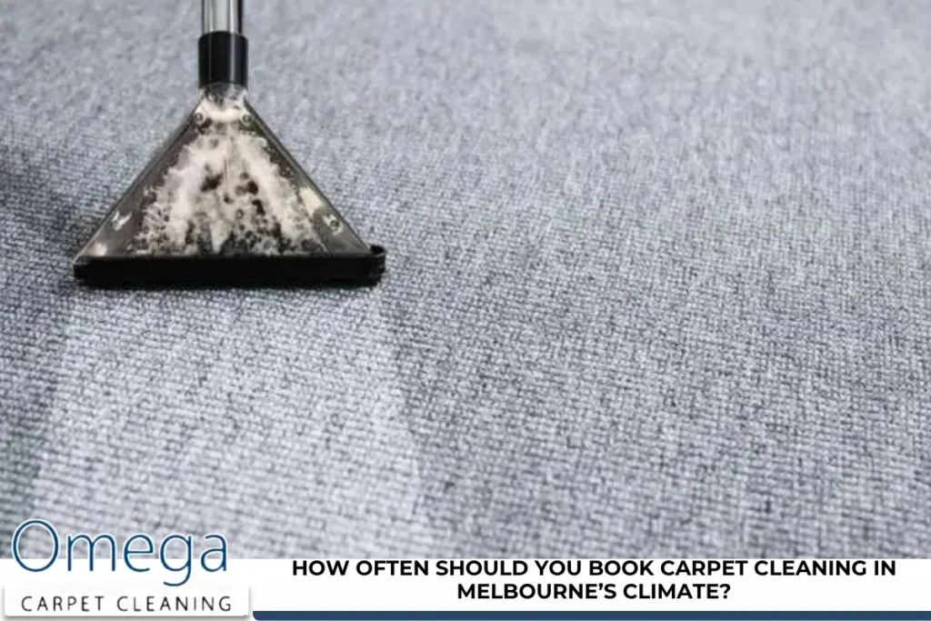 How Often Should You Book Carpet Cleaning in Melbourne’s Climate