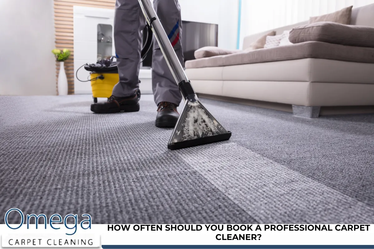 How Often Should You Book a Professional Carpet Cleaner