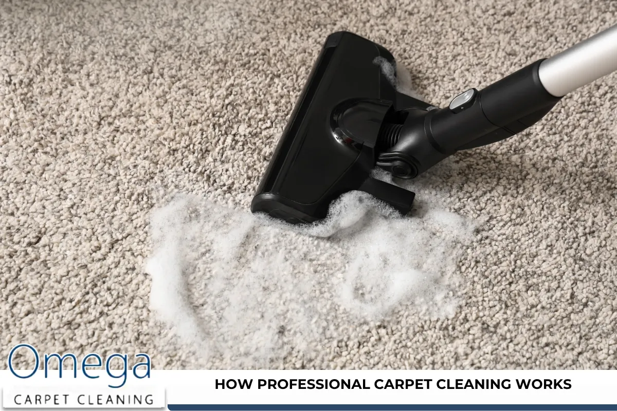 How Professional Carpet Cleaning Works