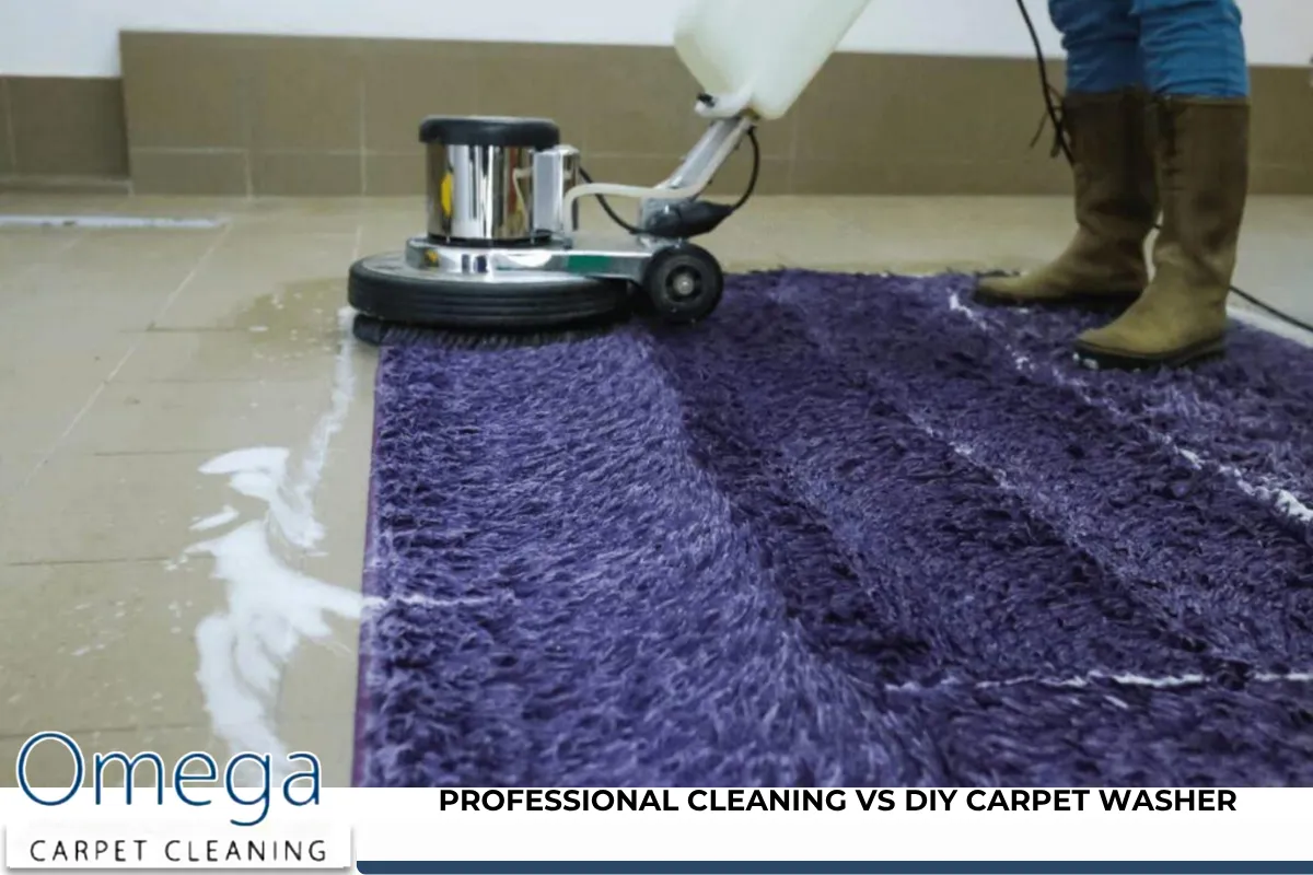 Professional Cleaning vs DIY Carpet Washer