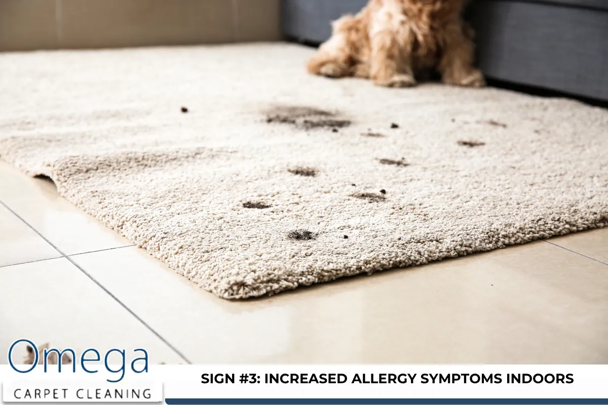 Sign #3 Increased Allergy Symptoms Indoors
