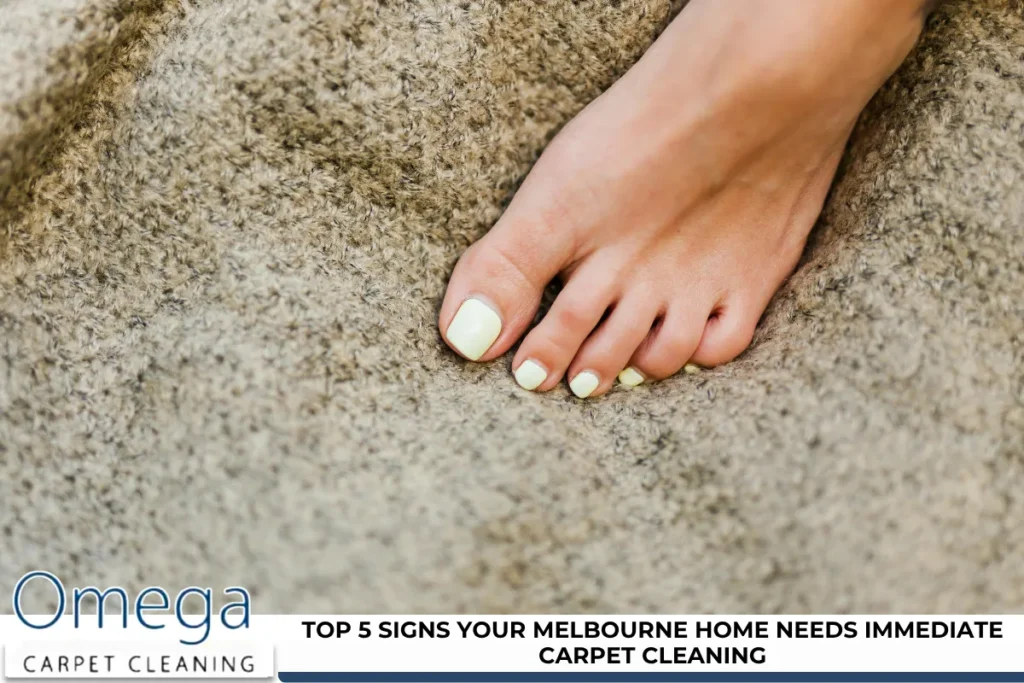 Top 5 Signs Your Melbourne Home Needs Immediate Carpet Cleaning