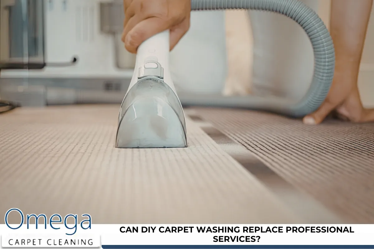 Can DIY carpet washing replace professional services?